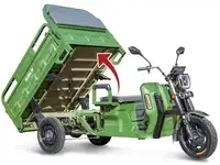 Грузовой электротрицикл rutrike маяк 1600 60v1000w, фотография 9