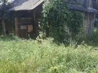 Дом в Пуще, д.Дворцы ул. Советская 40 Каменецкий р-н, фотография 2