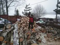 Расчистка участка от растительности, фотография 11