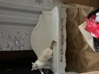 Деревянная лавка