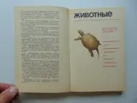 Они не должны исчезнуть. Животные, Растения, Минск, Народная Асвета,1987 год, Дорофеева, Сюборова, фотография 9