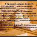 Сдается  сауна на часы сутки), Витебская Ул.Держинского, фотография 4