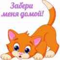 Кошечка Итали, фотография 4
