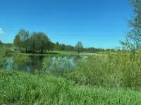 Дом,участок, Могилевский район,д. Азаровка, фотография 10