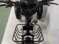 Трехколесный электровелосипед shtenli trike xmax, фотография 3