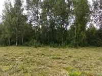 продам участок со срубом, Витебский р-н, Вайханский с/с, д. Мариамполь, ул. Новая 35Г, фотография 11