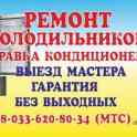 Ремонт холодильников в Бресте