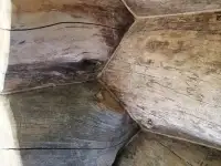 ШЛИФОВКАПОКРАСКАТЁПЛЫЙ ШОВ Срубов, фотография 9