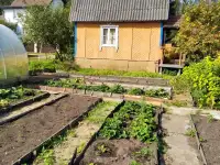 Участок 6 соток с садовым домиком, Узденский р-н, Минская область, фотография 4
