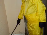 Оперативное избавление от жука короеда, тараканов,мышей,клопов.