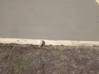 Стяжка пола в Вилейке., фотография 8