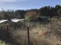 Продам дачный участок в 7 км от Ольшанки Гродно, фотография 8