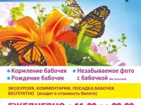 Выставка ЭКЗОТИЧЕСКИХ БАБОЧЕК