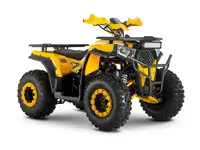 Квадроцикл wels thunder trail 200