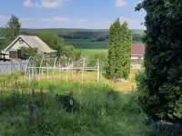 Продам дачу,Шкловский район Могилевской области, с. т. Ульянка 98, фотография 11