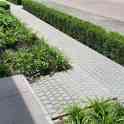 Плитка тротуарная (брусчатка) Carpet Stones., фотография 7