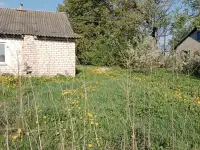 Дом, Д. Старый Лепель, фотография 4
