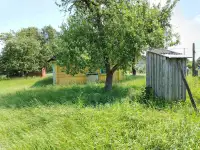 Продается уютный дом с садом у леса и реки в д. Омговичи, фотография 10