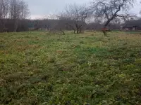 Продам дом, а.г Крулевщина ул.Советская д.3, фотография 7