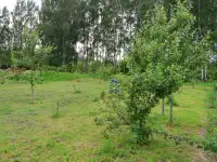 Продам новый дом рядом с березовой рощей в С/Т Дубрава-Мапид Воложинский р-н Раковский с/с, фотография 9