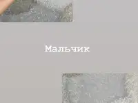 Щенки Джек Рассел терьер, фотография 5