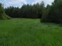 Продажа земельного участка с недостроенным домои, Малая Гуменовщина, фотография 2