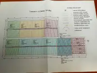 Фермерское-хозяйство выращивание ягод, фотография 2