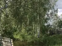 Участок земли, 2ая Верхняя, 78, фотография 2