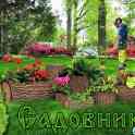 САДОВНИК-комплекс услуг.    Уборка участка.