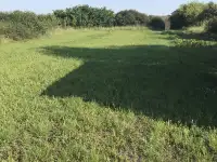 Продам участок, р-н,д.Поварчицы, фотография 1