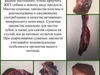 Сушеные лакомства