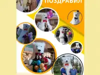 Поздравление Белый Медведь Мишка на праздник, фотография 3