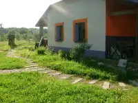 сдам усадьбу в браславе, Пантелейки, фотография 4