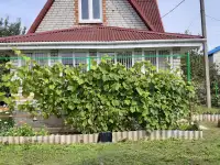 Продам дачу, Молодечненский р-н  с/т 