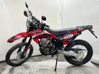 Мотоцикл Regulmoto Sport-003 PR 300, фотография 4
