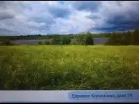 Продам дом в живописном месте, Псковская область, Невельский муниципальный округ, д. Косенково, фотография 2