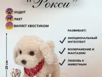 Инфографика, фотография 4