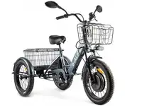 Трицикл green city e-alfa trike