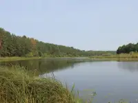 Участок 6.5 сот. Гомельский р-н, д. Чкалова, СТ Глушец, фотография 8