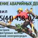 Удаление аварийных деревьев, фотография 3