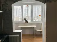Сдам квартиру на часы сутки.
