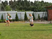 Аренда коттеджа в Жировичах с банькой, Жировичи ул. 22, фотография 3