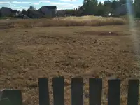 Продам дом, Таль. Любанский район, облость, фотография 7