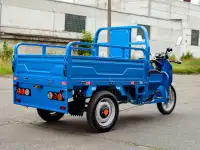 Грузовой электротрицикл AVM Cargo 1500, фотография 10