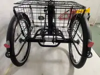 Трехколесный электровелосипед shtenli trike 31, фотография 12