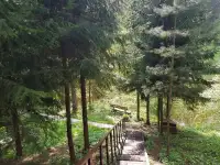 Дом на сутки у реки Витебск. Живописное место, фотография 11