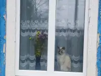 Окна ПВХ,обшивка балконов ,домов ,монтаж кровли ,заборы., фотография 11
