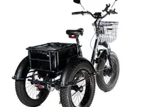 Электровелосипед трицикл e-motions panda 750w, фотография 3