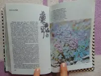 Русское разнотравье. Справочник, фотография 8