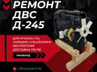 Ремонт двигателя ММЗ Д245.9е2-396 для паз 4234, фотография 2